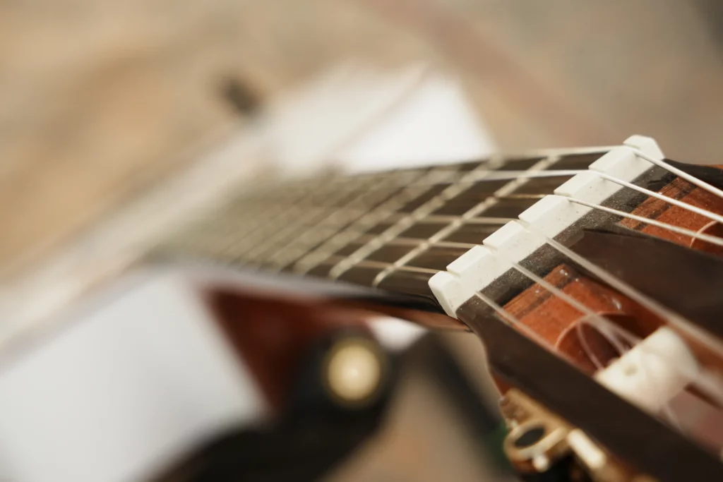 Detalle de las cuerdas y el puente de la guitarra, Astranova