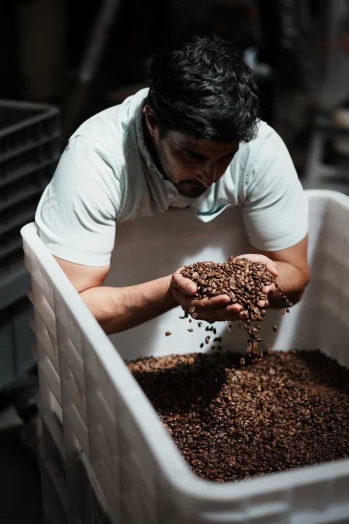 Les grains de café entre les mains, pour Bibal