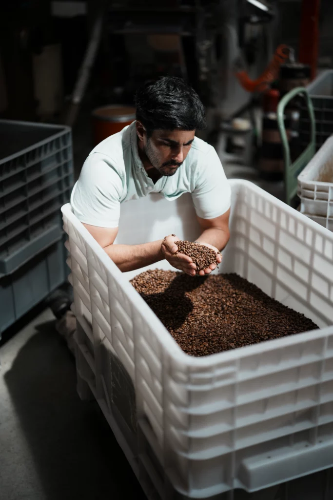 Portrait au travail, les grains de café entre les mains, pour Bibal