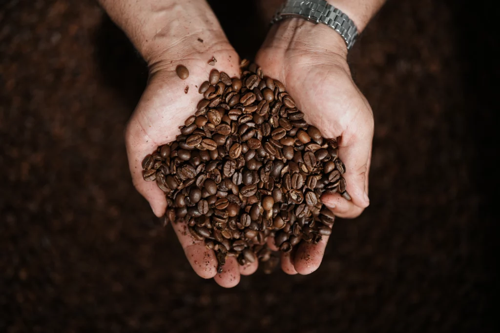 Les grains de café dans les mains, vus de près