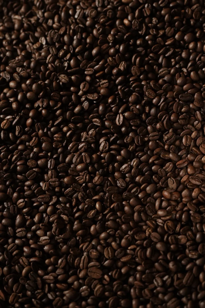 Les grains de café vus en détail