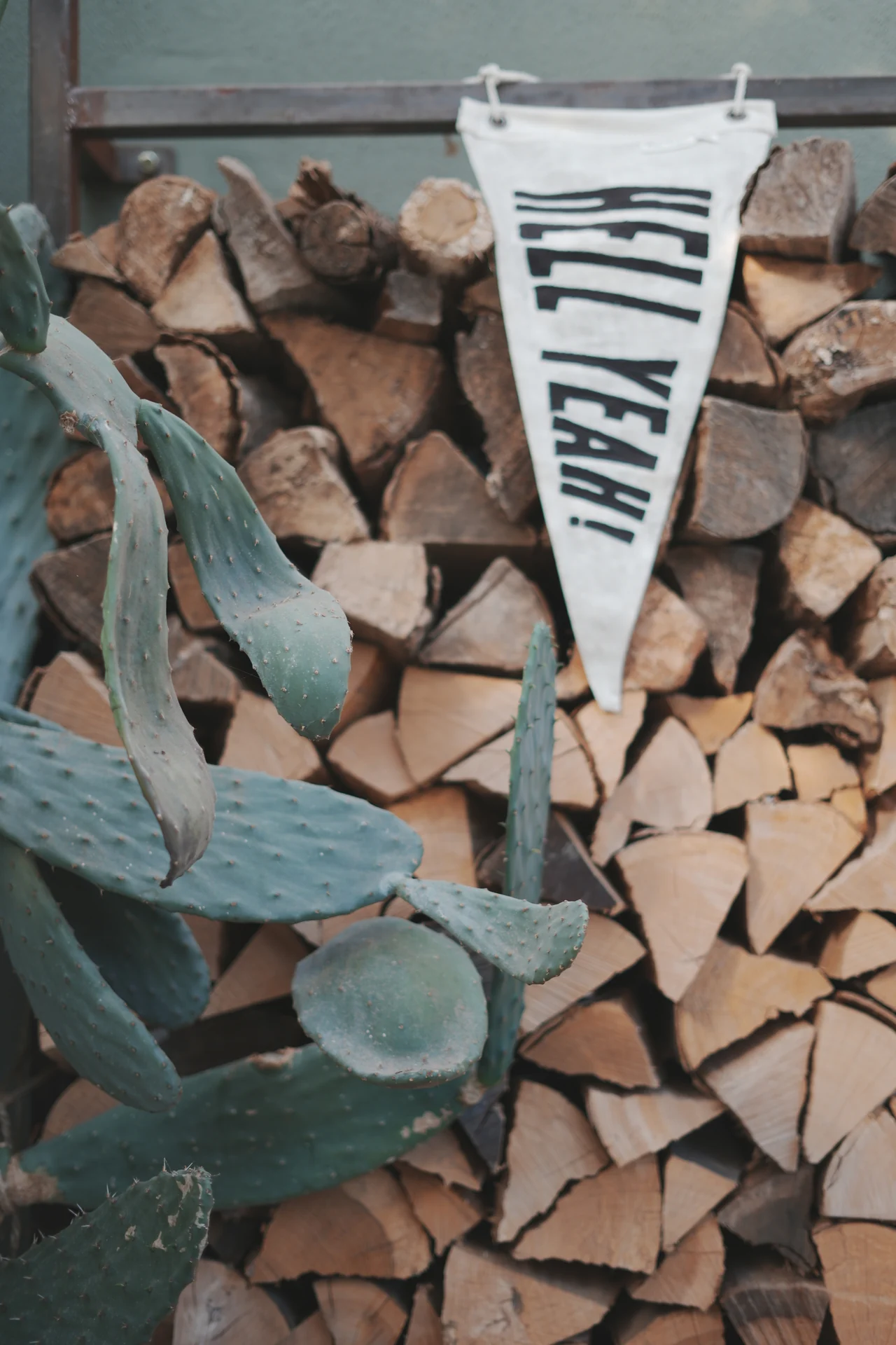 Cactus et bûches — Bivouak Café