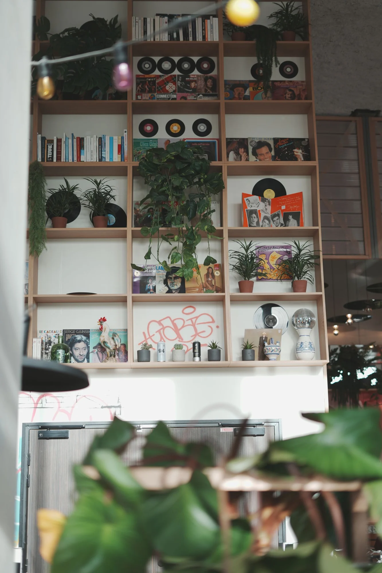 Étagères, vinyles et végétation — Le Jost Montpellier