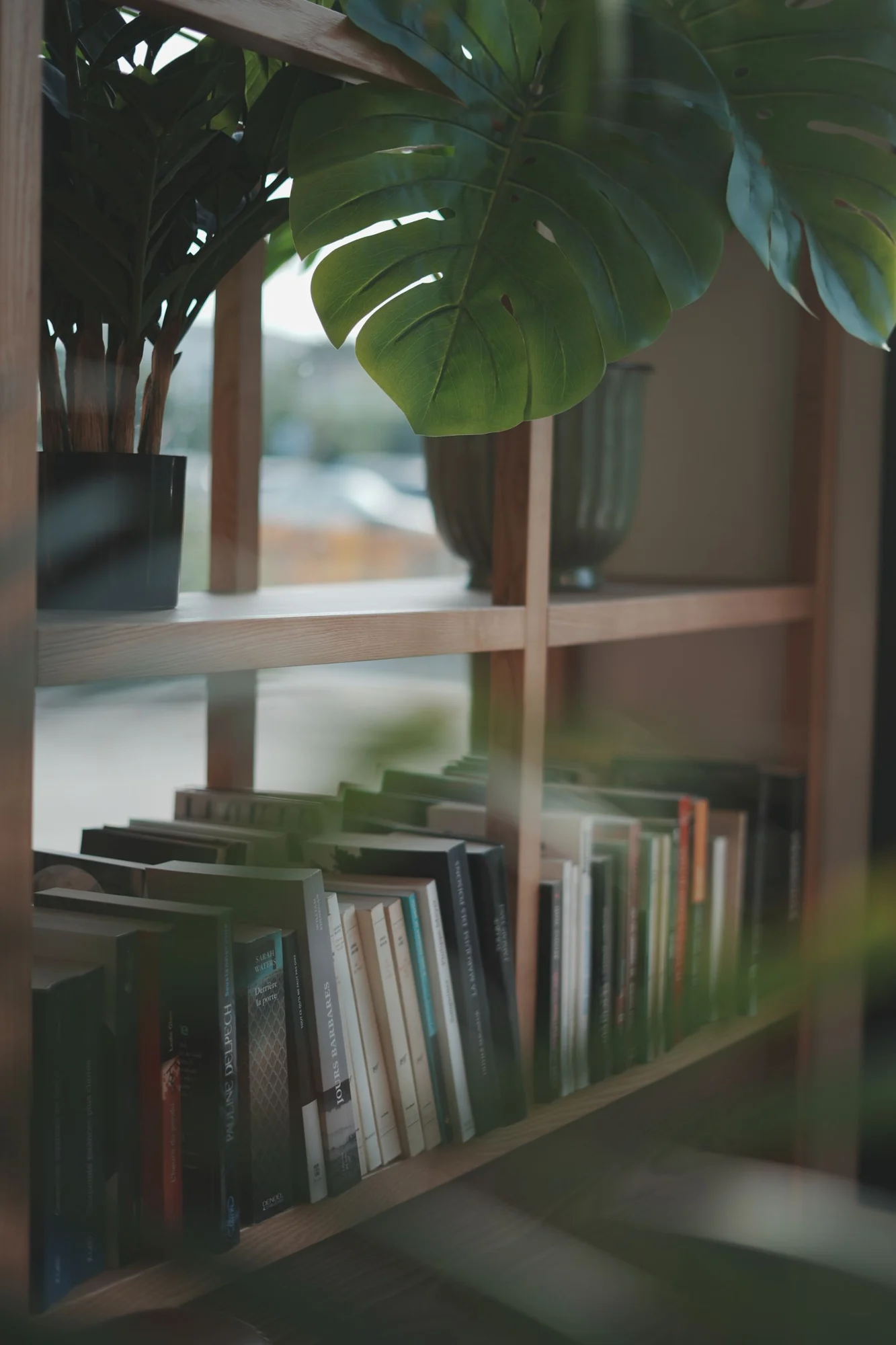 Feuillage et livres — Le Jost Montpellier