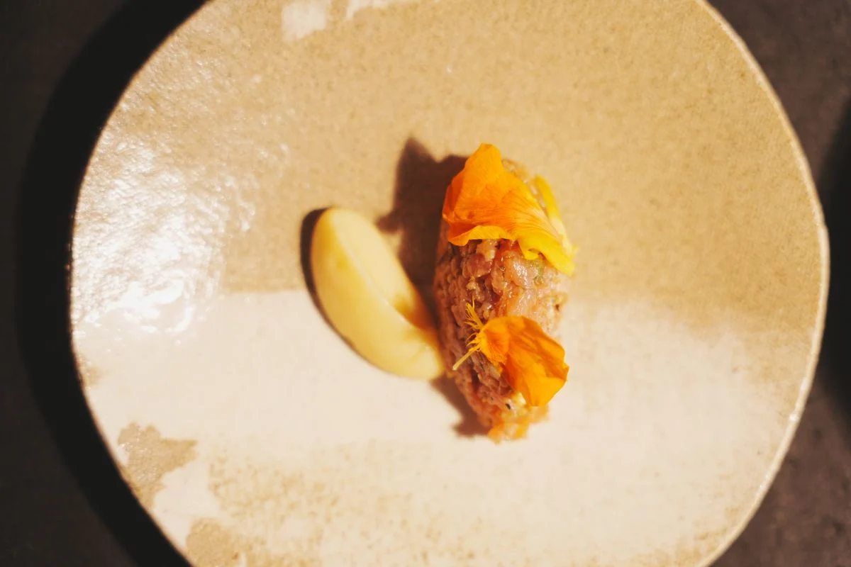 Un dressage vu du dessus — Le Pastis