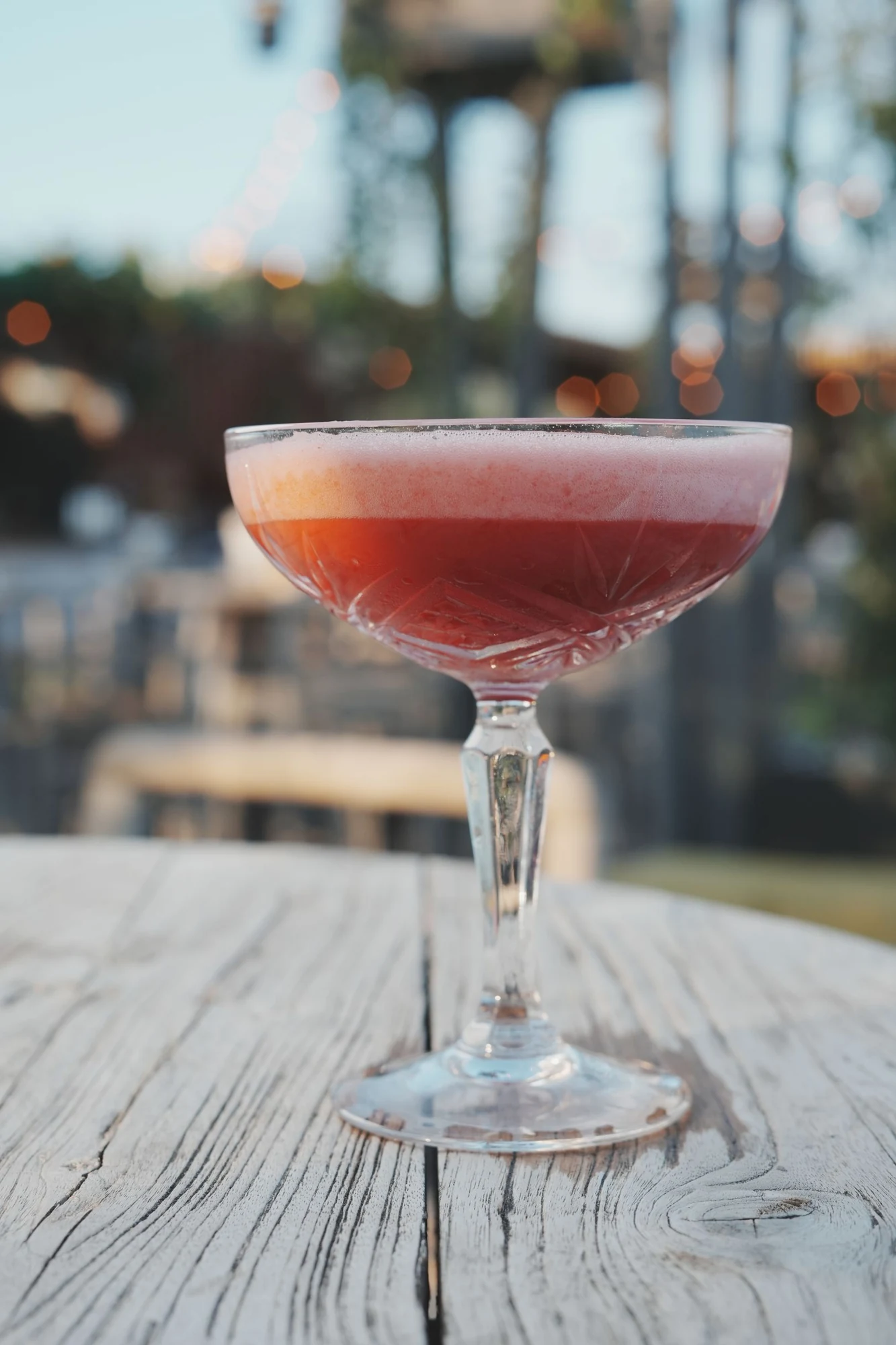 Cocktail en coupe — La Terrazza