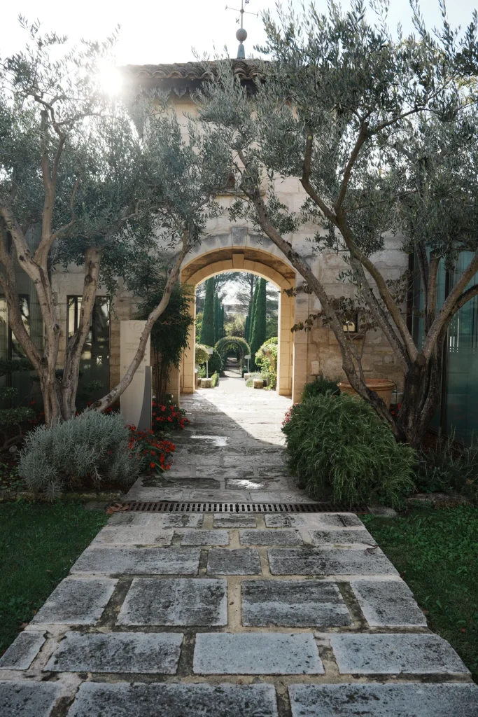 Allée et végétation au domaine de Verchant