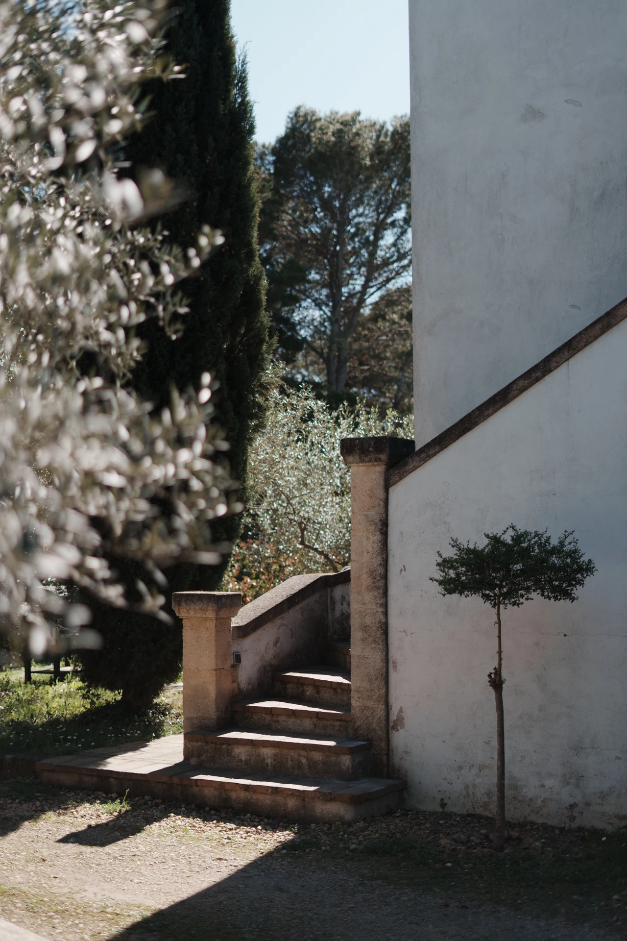 Scala esterna e vegetazione a Villa Generac