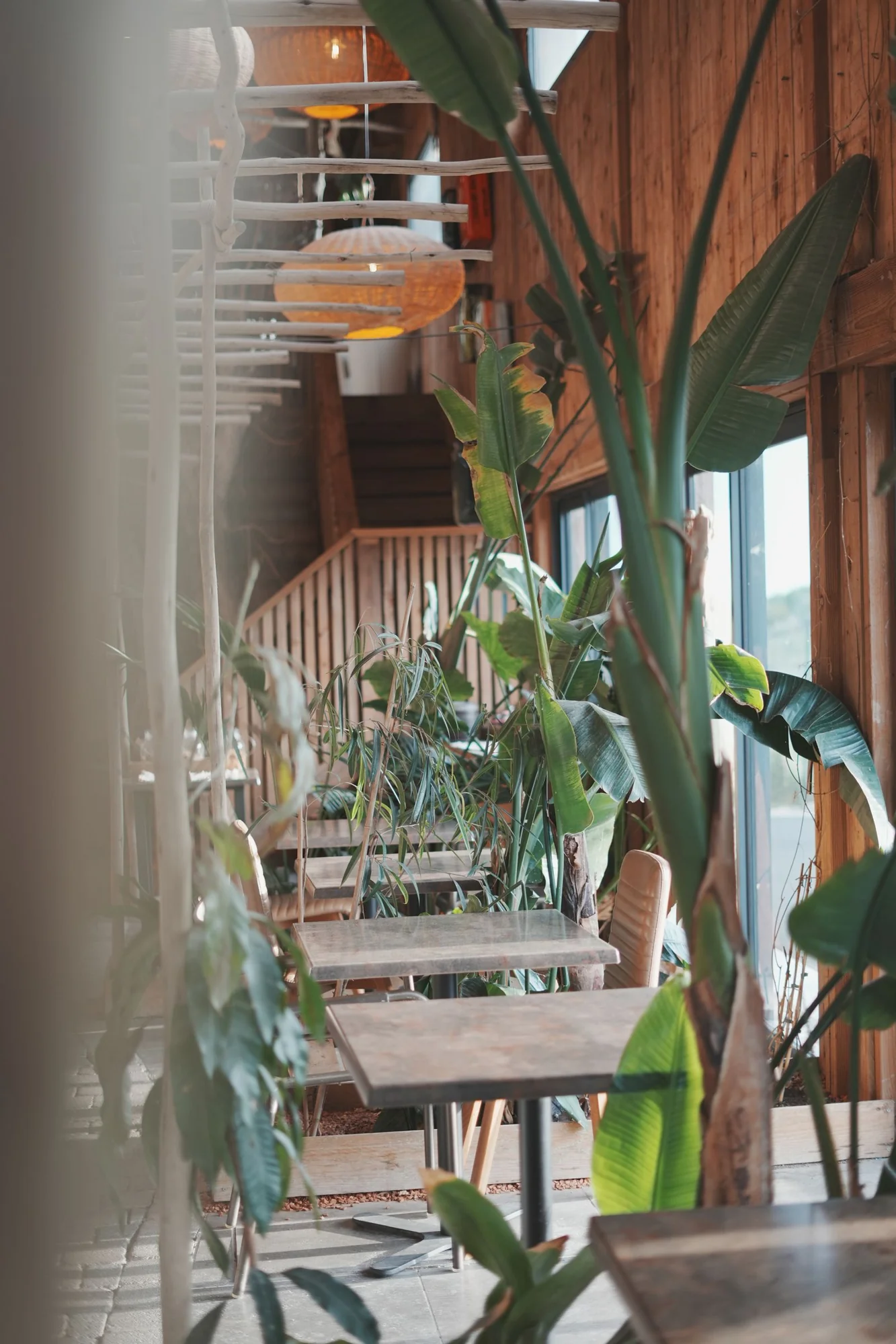 Tables and greenery in the restaurant &mdash; Villa Occitana