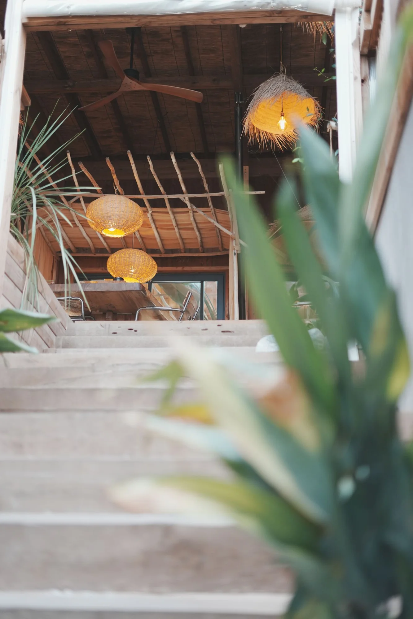 Escadas, vegeta&ccedil;&atilde;o e candeeiros naturais &mdash; Villa Occitana